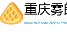重庆雾朗科技有限公司