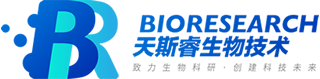 病理实验分析