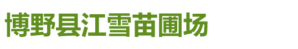博野县江雪苗圃场