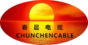 电机引接线/高压电机引接线/JEM电机引接线