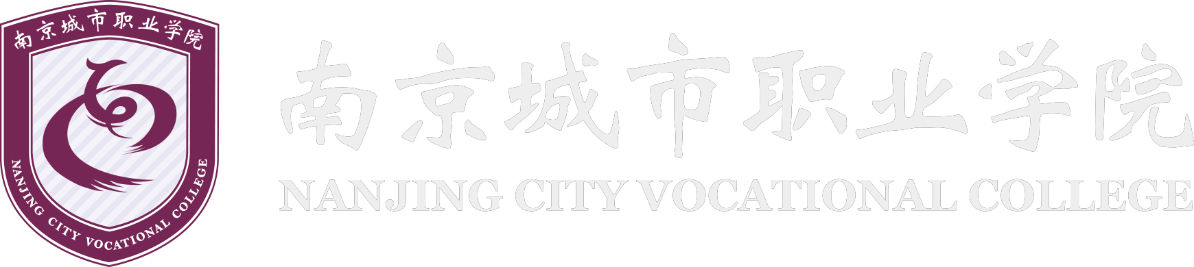 南京城市职业学院