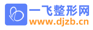 一飞整形网