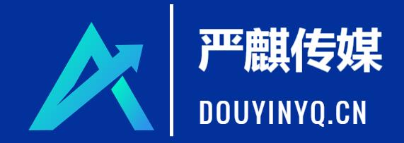严麒传媒
