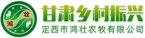 甘肃乡村振兴平台