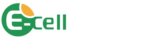 重组转铁蛋白