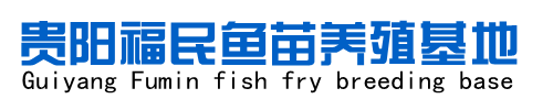 贵州草鱼苗批发,贵阳鱼苗批发,鱼苗养殖基地,都匀鱼苗批发