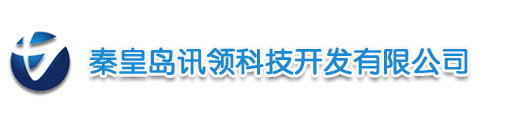 电容式物位开关,重锤式料位计,PRL