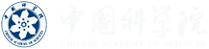 大团队