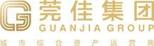 广东莞佳资产投资集团有限公司