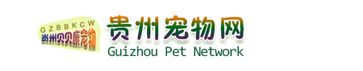 贵州宠物网