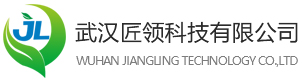 武汉匠领科技有限公司