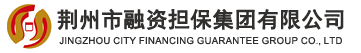 荆州市融资担保集团有限公司