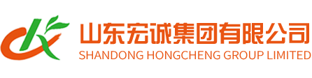 山东宏诚集团有限公司