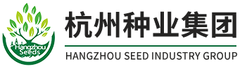 杭种集团