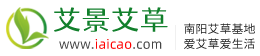 爱艾草网