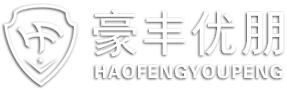 抵押车