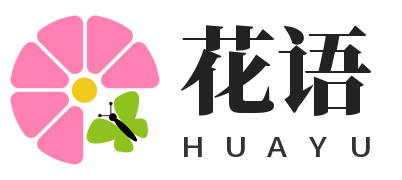 花语网丨解读花语含义