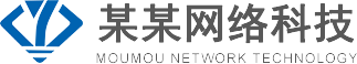 某某网络科技有限公司