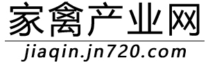 家禽产业网
