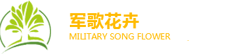 办公室绿植