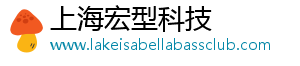 上海宏型科技有限公司
