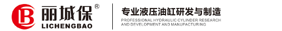丽城保液压油缸