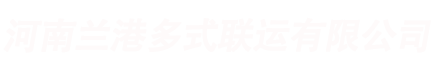 河南兰港多式联运有限公司