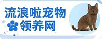 全国宠物领养中心