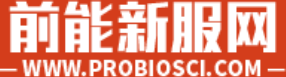 前能新服网