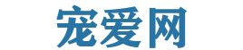 宠爱网