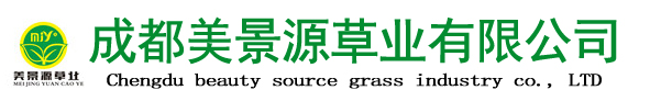 成都台湾二号草坪卷