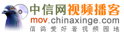 中信网视频播客