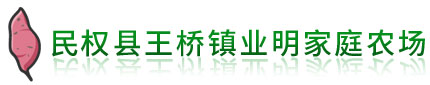 红薯苗