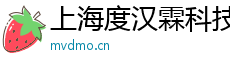 上海度汉霖科技有限公司