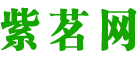 紫茗网
