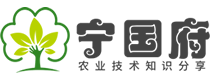宁国府