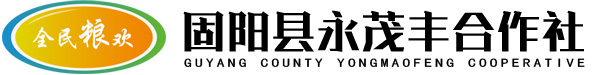 固阳永茂丰合作社全民粮欢有机黄芪正北芪