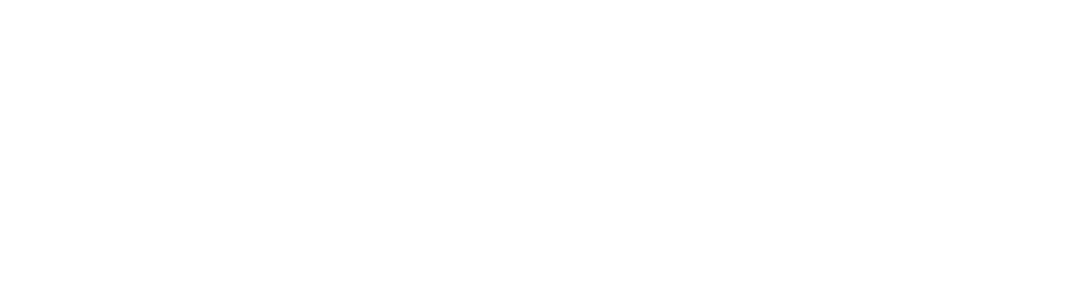 莱存·中国：一个利益共享的消费型创业平台