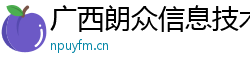 广西朗众信息技术有限公司