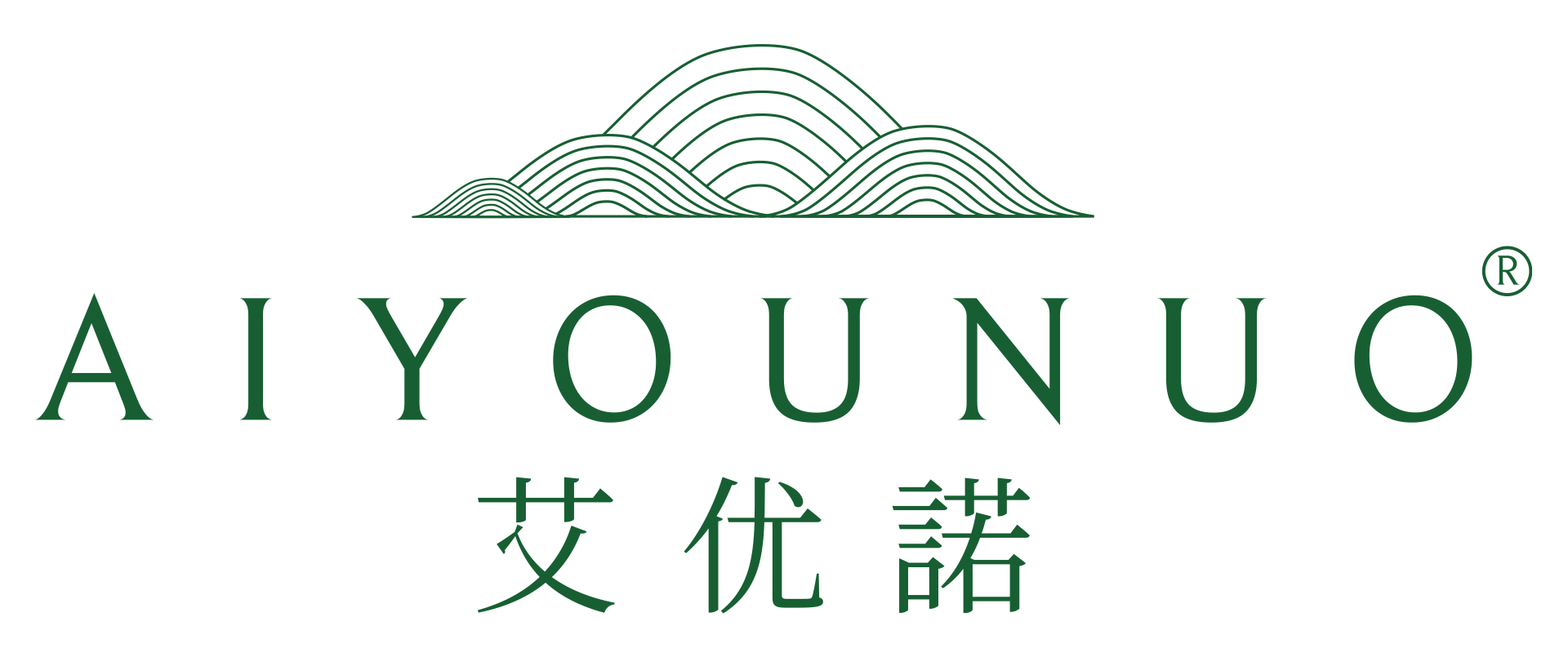 蚂蚁数智