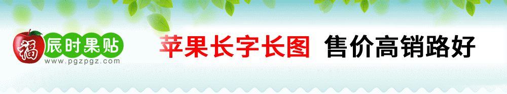 辰时果贴简介