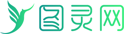 图灵网