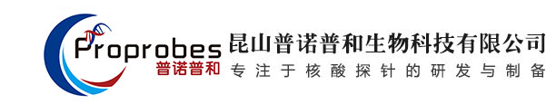 DNA合成