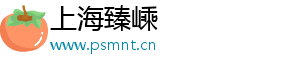 上海臻嵊电子商务有限公司