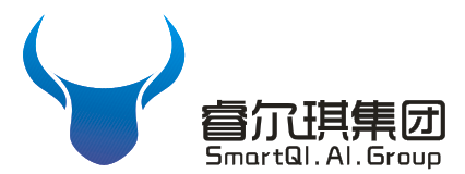 睿尔琪集团