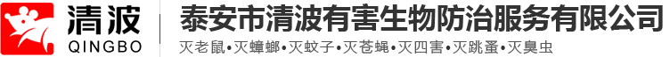 泰安市清波有害生物防治服务有限公司