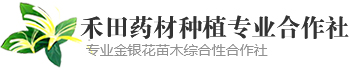 平邑县禾田药材种植专业合作社
