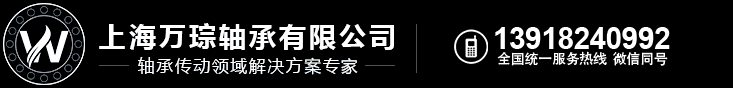 SKF轴承