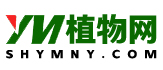 农业种植技术,植物花卉图片,家居绿化
