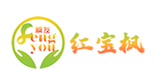 元宝枫籽油